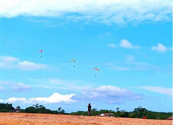 Sensasi Baru! Sukabumi Punya Festival Budaya Paling Meriah Tahun Ini