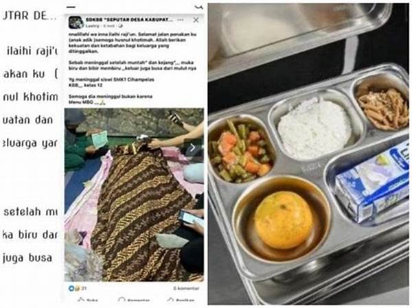 Keracunan Mbg Meninggal