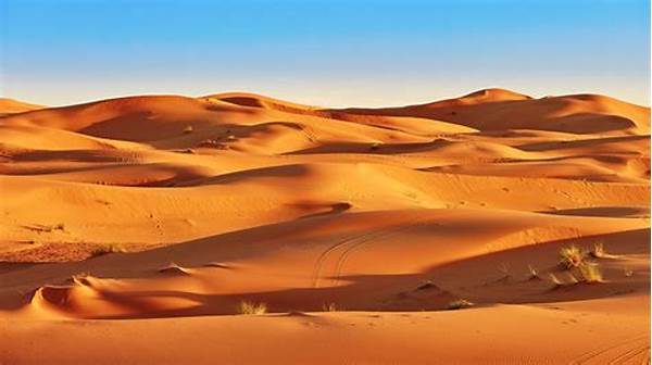 Sahara