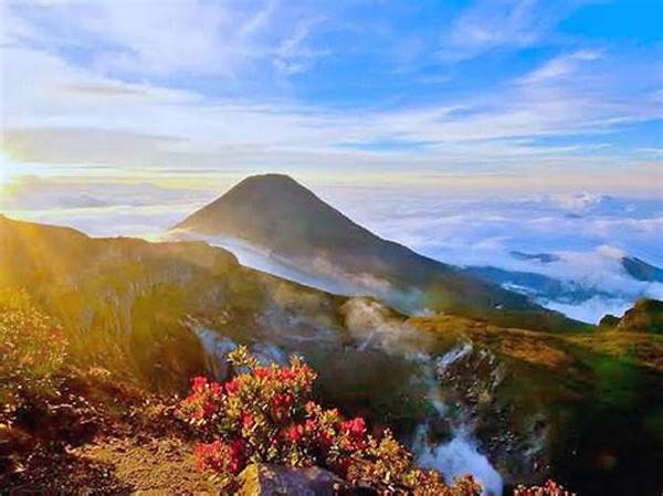 Kabut Tinggi Di Puncak Gunung Gede Sukabumi: Jalur Pendakian Ditutup