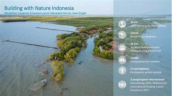 Proyek Mangrove Sukabumi Untuk Antisipasi Perubahan Iklim Pesisir